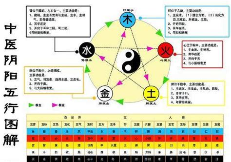 金 生 水|金生水（五行对应关系）